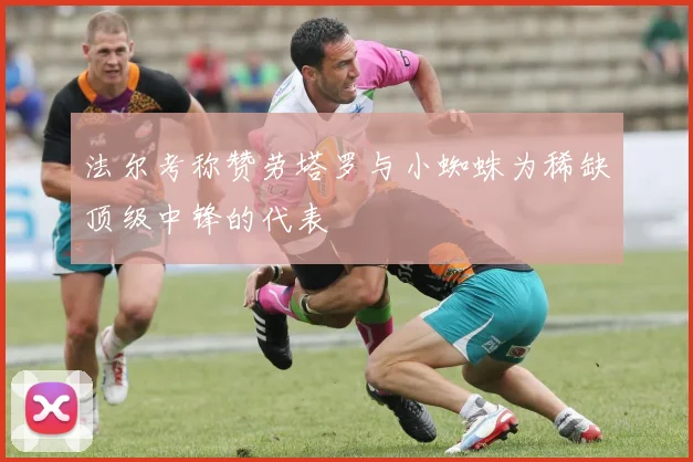 法尔考称赞劳塔罗与小蜘蛛为稀缺顶级中锋的代表